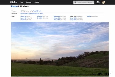 Tại sao Flickr vẫn là nền tảng ảnh Go‑To sau vụ hack năm 2016 của Yahoo 
