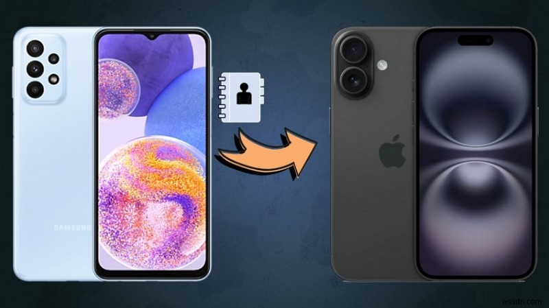 Di chuyển danh bạ liền mạch:Chuyển danh bạ Android sang iPhone sau khi thiết lập 