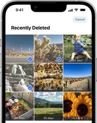 Lỗi ảnh iOS 17.5:Cách xóa vĩnh viễn hình ảnh được hiển thị lại trên iPhone 