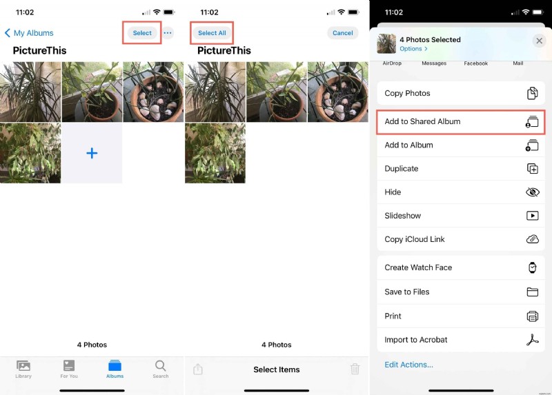 Cách chia sẻ album trên iPhone:Hướng dẫn từng bước 