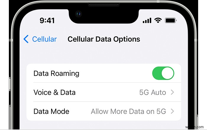 Khắc phục nhanh sự cố gửi ảnh trên iPhone—Hướng dẫn từng bước 