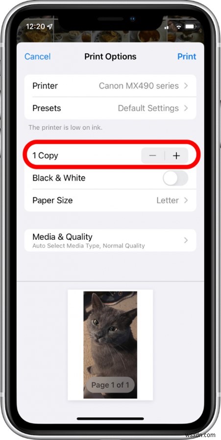 In ảnh iCloud, iPhone và Mac của bạn:Hướng dẫn từng bước 