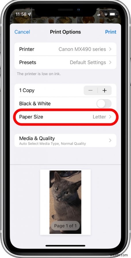 In ảnh iCloud, iPhone và Mac của bạn:Hướng dẫn từng bước 