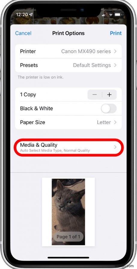 In ảnh iCloud, iPhone và Mac của bạn:Hướng dẫn từng bước 