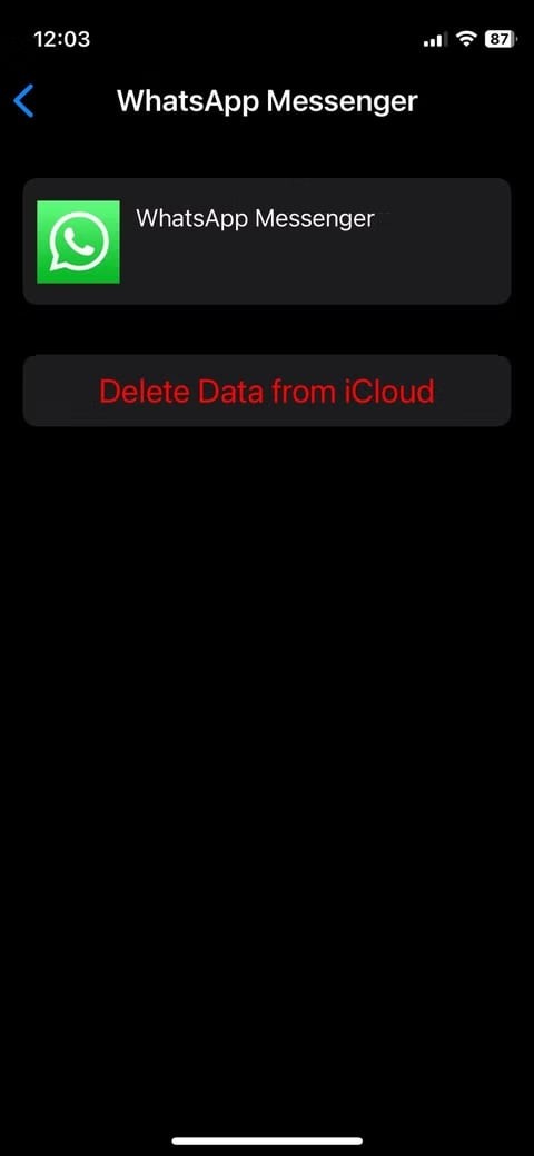 Khắc phục WhatsApp không sao lưu lên iCloud:7 giải pháp đáng tin cậy 