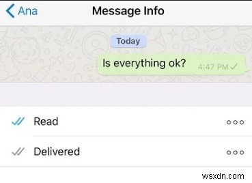 Hướng dẫn năm 2026:Dấu tích màu xám duy nhất trên WhatsApp có ý nghĩa gì? 