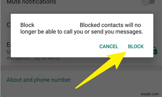Phải làm gì nếu bạn bị chặn trên WhatsApp – Hướng dẫn từng bước 