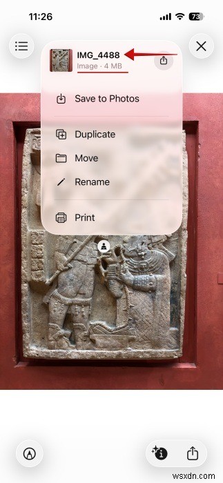 Chuyển đổi HEIC sang JPEG trên iPhone—Không cần ứng dụng, chỉ cần các tính năng tích hợp 
