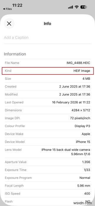 Chuyển đổi HEIC sang JPEG trên iPhone—Không cần ứng dụng, chỉ cần các tính năng tích hợp 