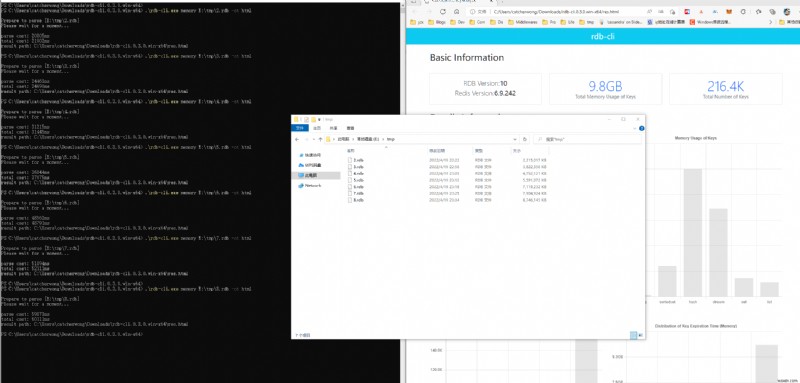 Công cụ toàn diện để phân tích tệp Redis RDB 