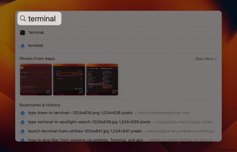 Sửa lỗi  brew:không tìm thấy lệnh  trên macOS - Thiết lập lại đường dẫn Homebrew nhanh 
