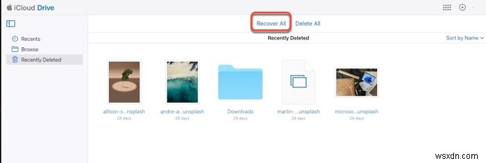 Khôi phục các tệp iCloud Drive đã xóa trên máy Mac – 4 phương pháp đáng tin cậy 