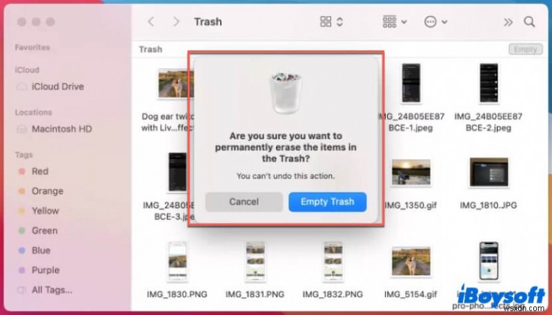 Cách dọn sạch thùng rác máy Mac của bạn:Hướng dẫn từng bước 