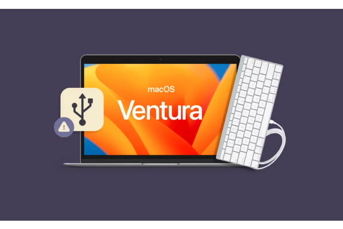 Giải quyết Ổ đĩa flash USB không được phát hiện trên máy Mac—Sửa chữa an toàn mà không mất dữ liệu