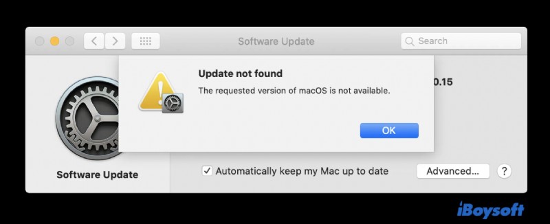 macOS Ventura:10 sự cố thường gặp, nguyên nhân và cách khắc phục nhanh 