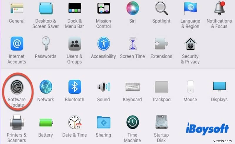 Khắc phục độ trễ của Magic Mouse sau khi cập nhật macOS Sequoia – Giải pháp từng bước