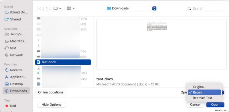 Cách khôi phục tài liệu Word bị hỏng trên Mac và Windows bằng Text Recovery Converter