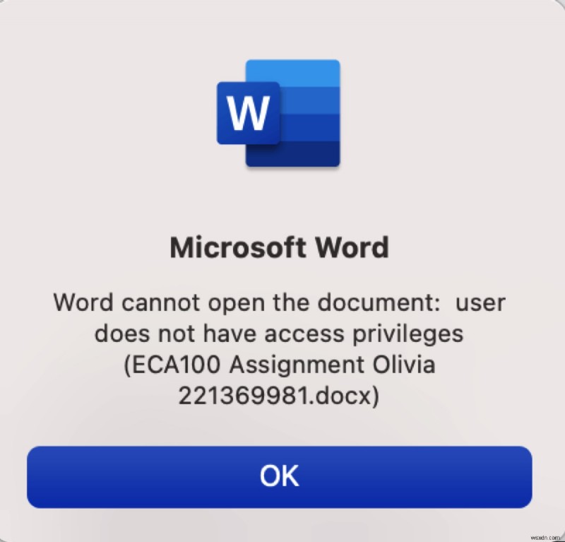 Khắc phục sự cố đặc quyền truy cập  Word Không thể mở tài liệu  trên Windows và Mac 