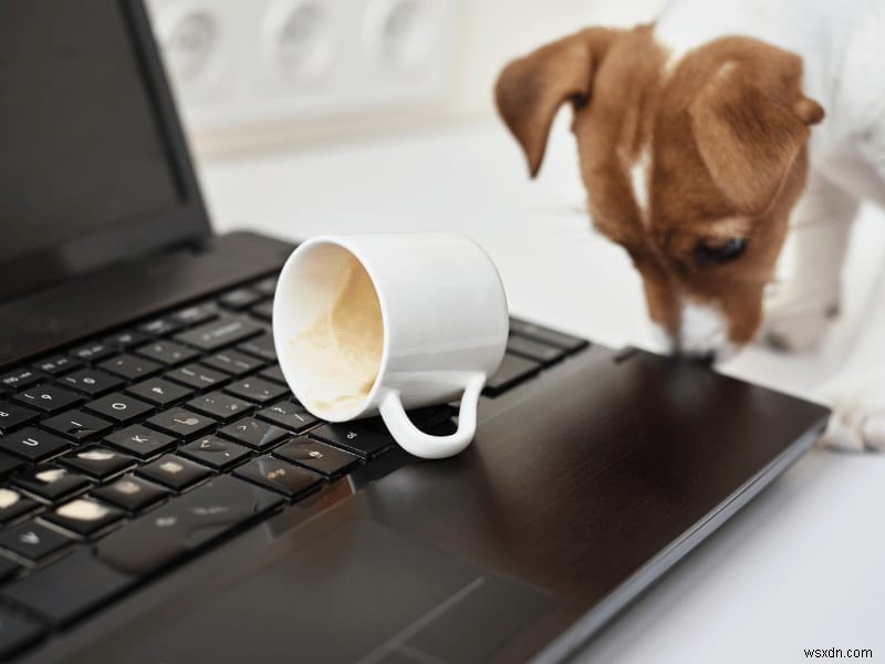 Cách khắc phục nhanh chóng phím bàn phím bị dính hoặc không phản hồi 