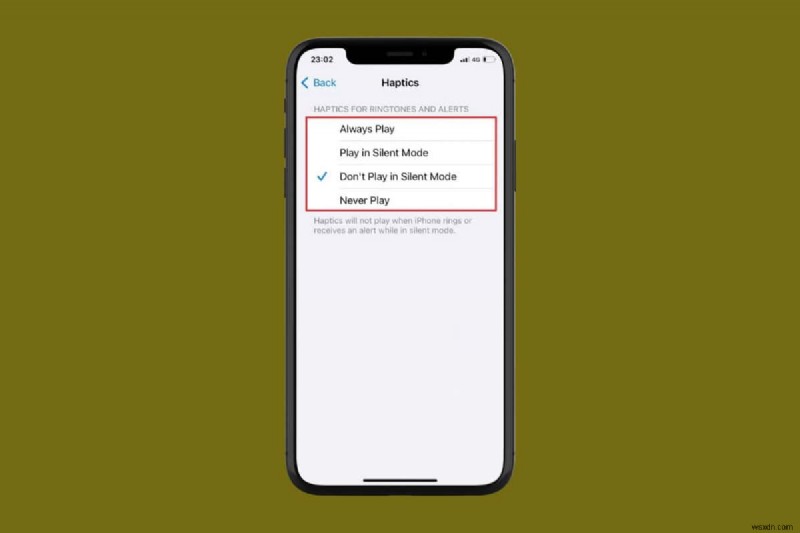 Điều chỉnh Chế độ im lặng của iPhone của bạn:Bật hoặc Tắt rung 