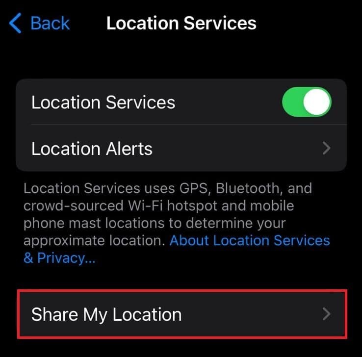 Vị trí trực tiếp trong Tìm iPhone của tôi:Nó có cho biết điện thoại đang được sử dụng không? 