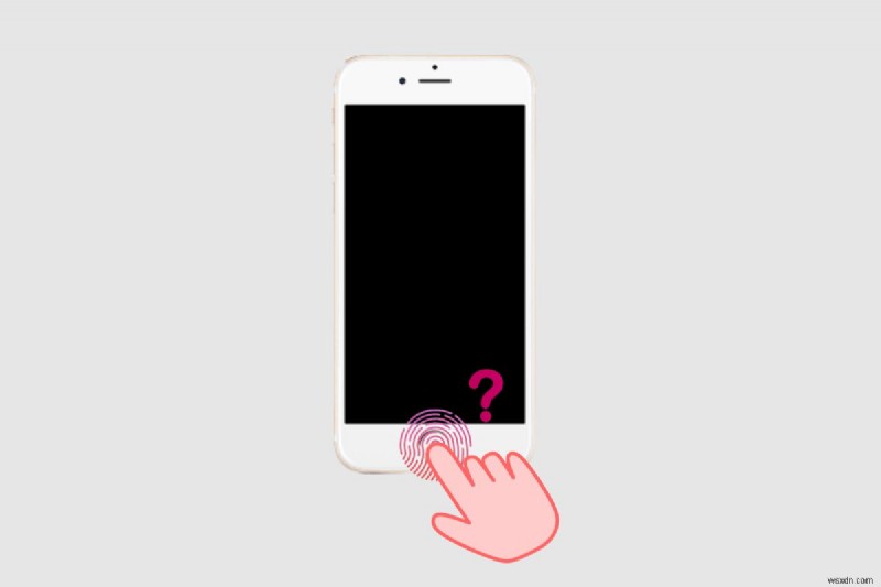 iPhone 11 và Touch ID:Những điều bạn cần biết về mở khóa bằng vân tay 
