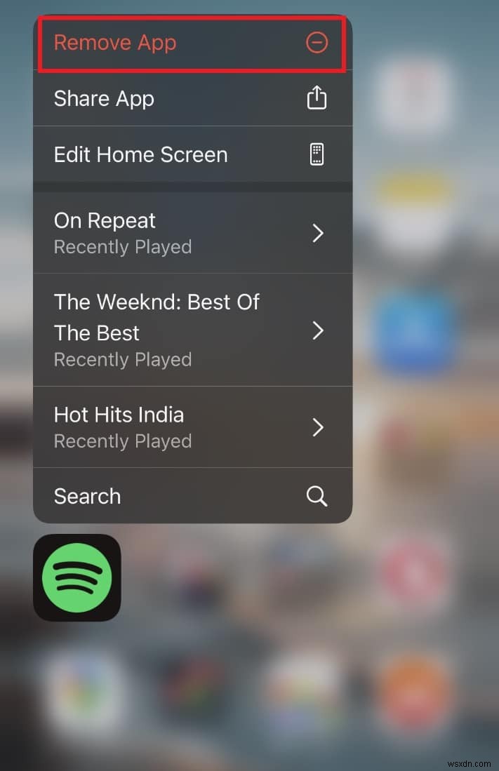 Khắc phục sự cố phát lại Spotify 10 giây trên iPhone 