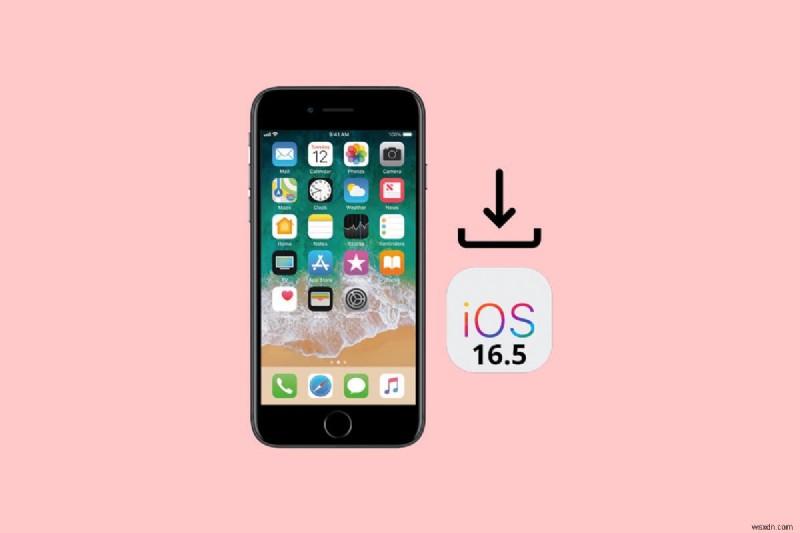 Cách tải xuống và cài đặt iOS 16.5 Beta an toàn trên iPhone của bạn