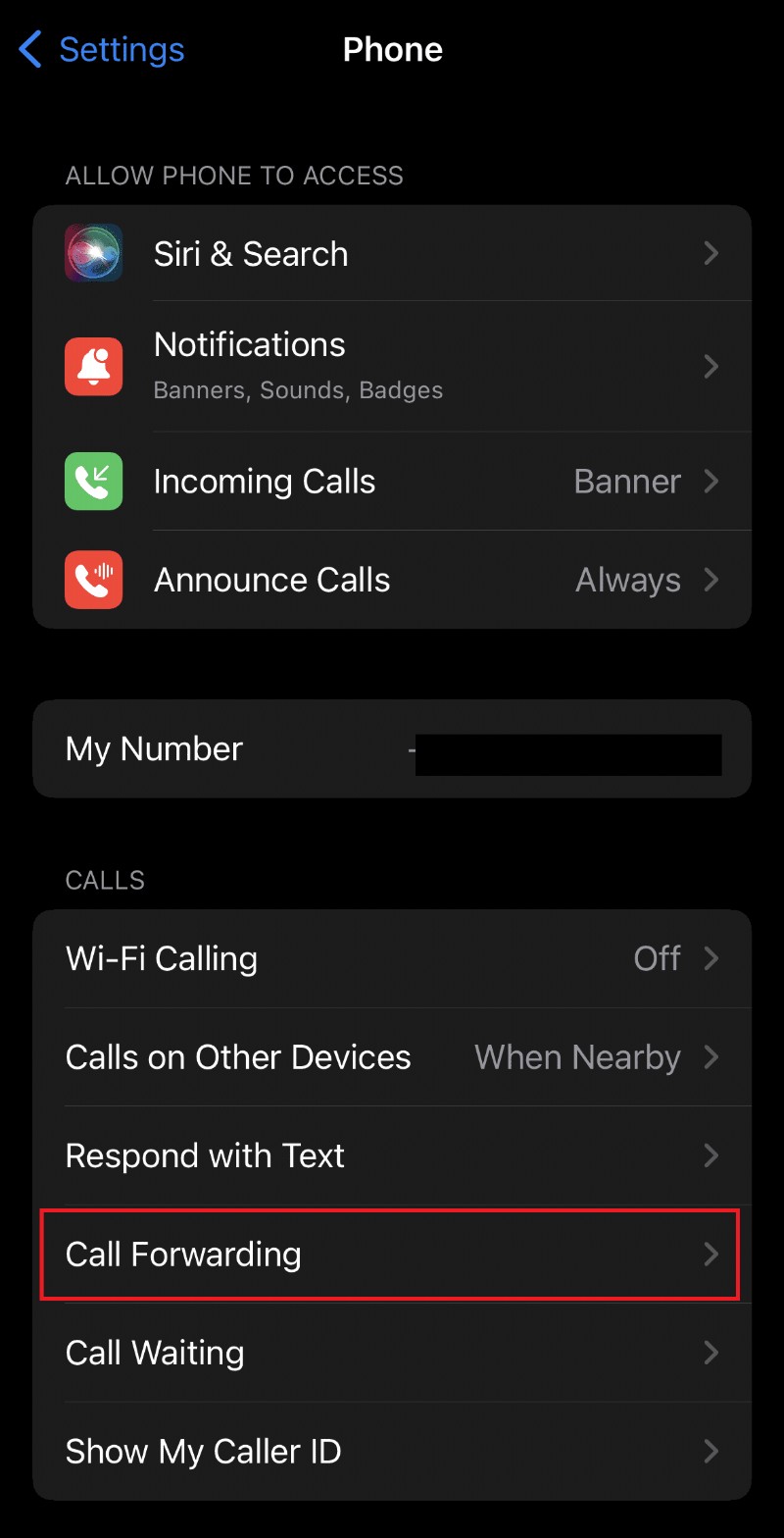 11 giải pháp giải quyết thư thoại kèm theo hình ảnh không khả dụng trên iPhone 