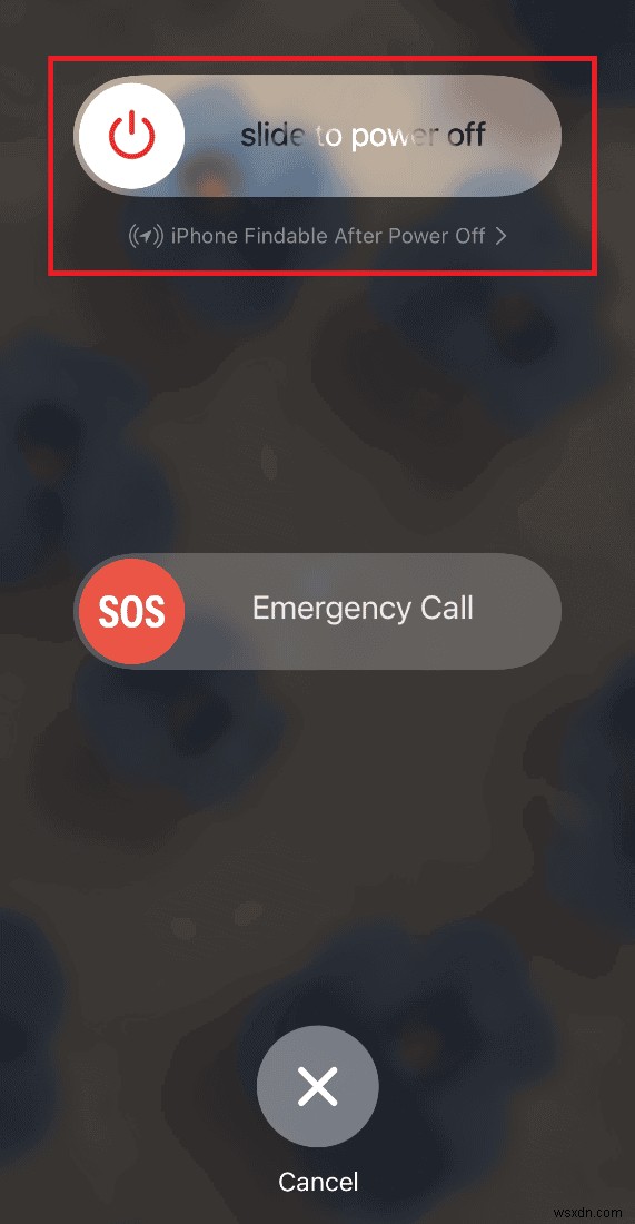 Siri tắt âm thanh? Cách khắc phục nhanh sự cố giọng nói bị bóp nghẹt 