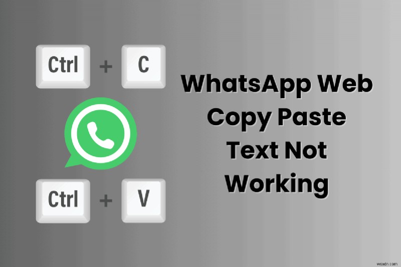 Cách giải quyết sự cố sao chép-dán trên web WhatsApp – Khắc phục từng bước 