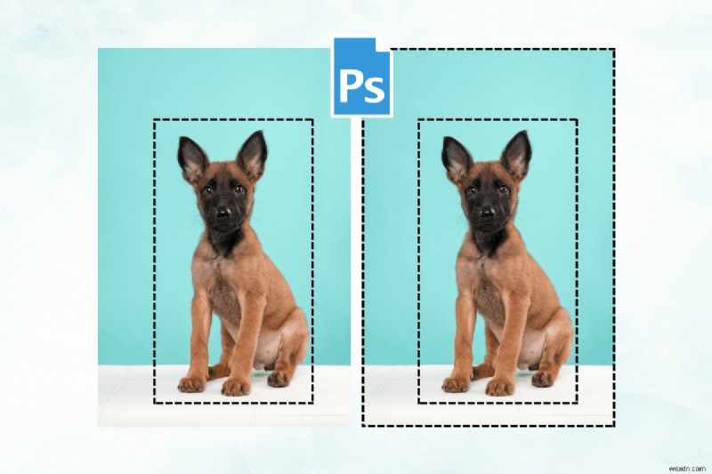 Lựa chọn bậc thầy trong Photoshop:3 cách đã được chứng minh để đảo ngược các lựa chọn có hoặc không có phím tắt 