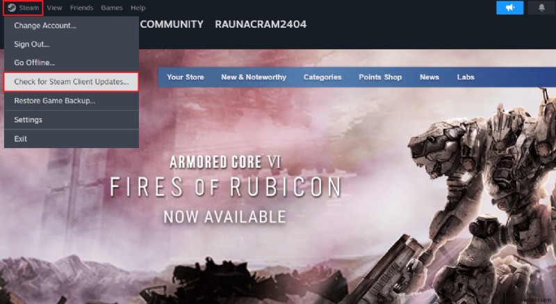 Giải thích lỗi Steam 101:Nguyên nhân phổ biến &11 cách khắc phục hiệu quả 
