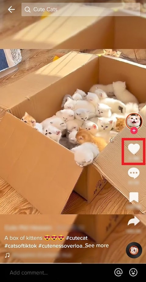 Hoàn tác các lựa chọn  Không quan tâm  của TikTok:Khôi phục nguồn cấp dữ liệu của bạn sau vài phút 