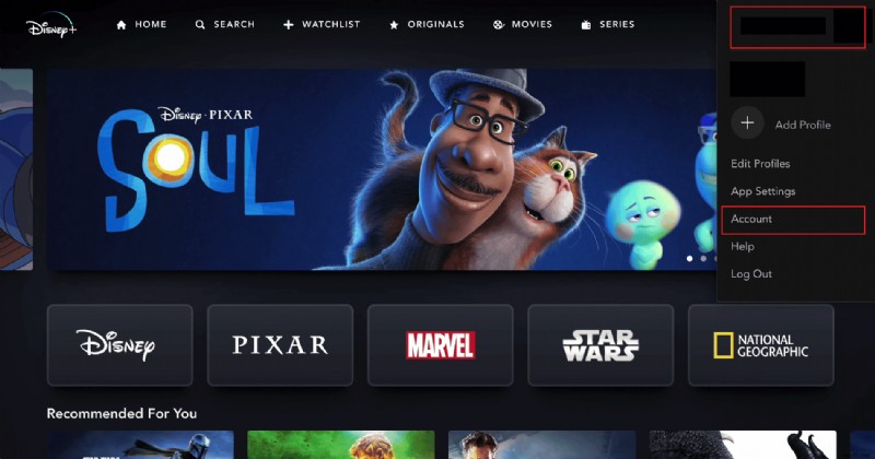 Cách nhanh chóng xóa người dùng trái phép khỏi tài khoản Disney Plus của bạn 