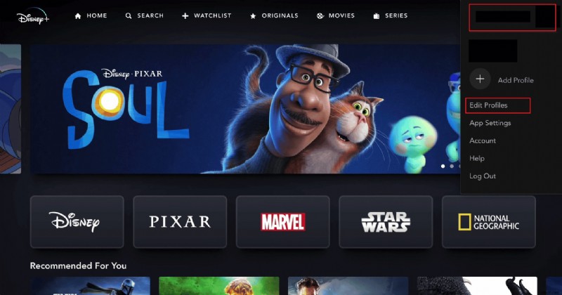 Cách nhanh chóng xóa người dùng trái phép khỏi tài khoản Disney Plus của bạn 