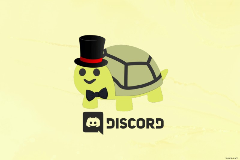 Thêm và tối ưu hóa Turtle Bot trên Discord:Hướng dẫn từng bước 