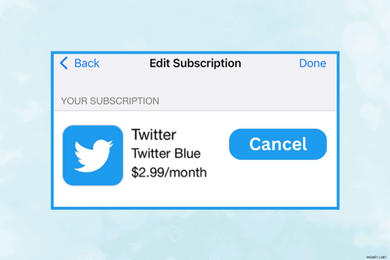 Hướng dẫn từng bước để hủy đăng ký Twitter Blue của bạn