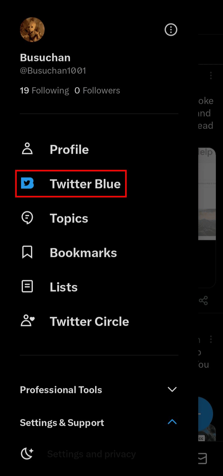 Hướng dẫn từng bước để hủy đăng ký Twitter Blue của bạn