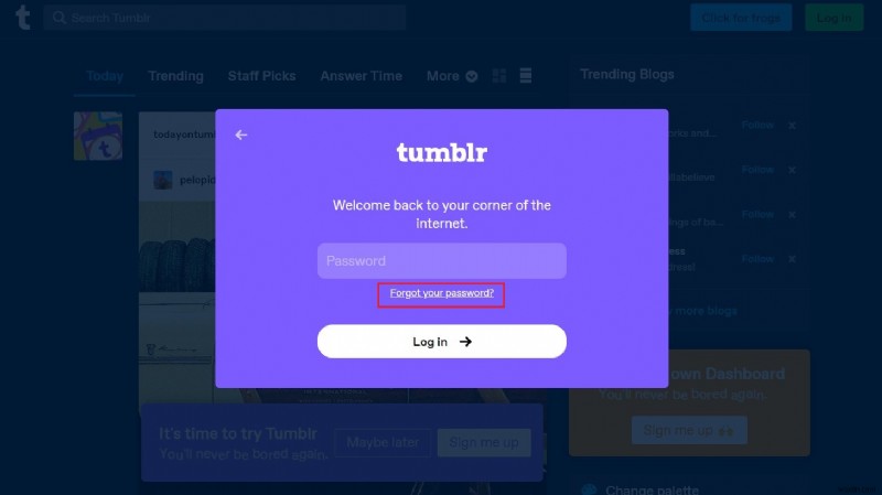 Khôi phục tài khoản Tumblr cũ của bạn:Hướng dẫn đặt lại mật khẩu dễ dàng 