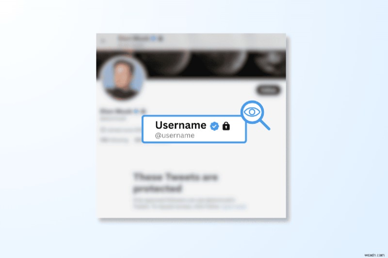 Xem hợp pháp các tài khoản Twitter riêng tư:Hướng dẫn từng bước 