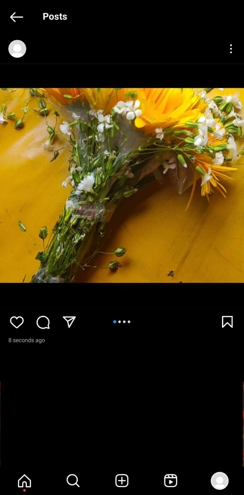 Đăng cả ảnh phong cảnh và ảnh chân dung trên Instagram:Hướng dẫn từng bước