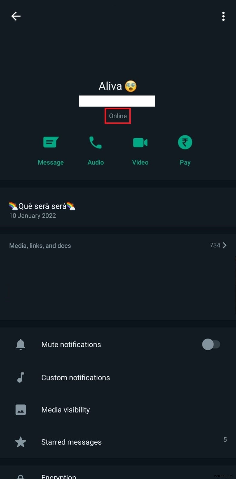 Kiểm tra trạng thái trực tuyến của WhatsApp:Cách xem danh bạ có hoạt động không