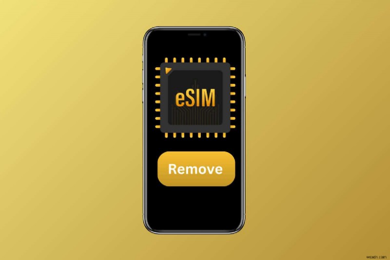 Hướng dẫn từng bước:Xóa eSIM khỏi điện thoại Android của bạn 