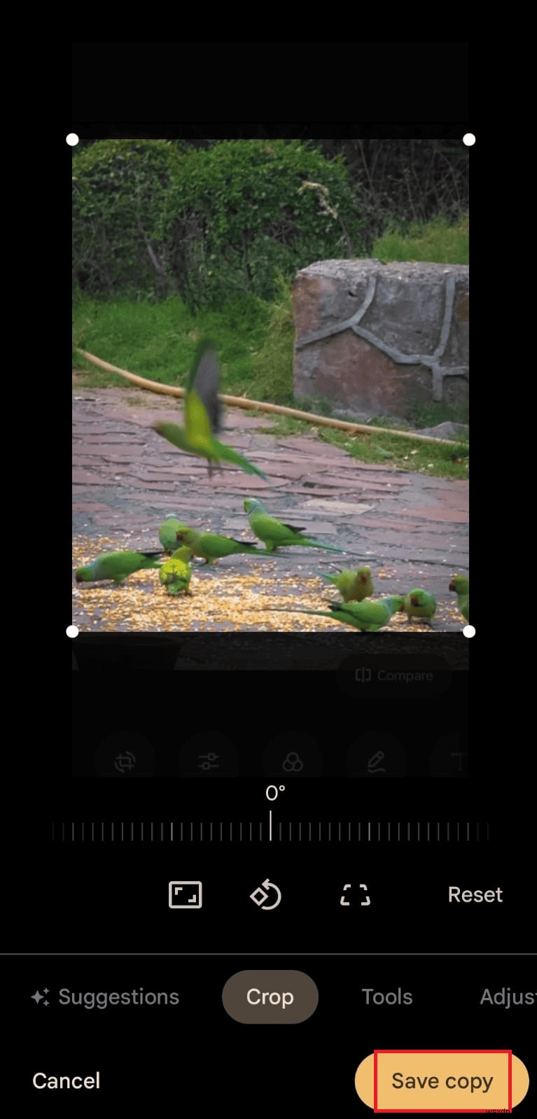 Thay đổi kích thước ảnh Android một cách nhanh chóng:Hướng dẫn từng bước 