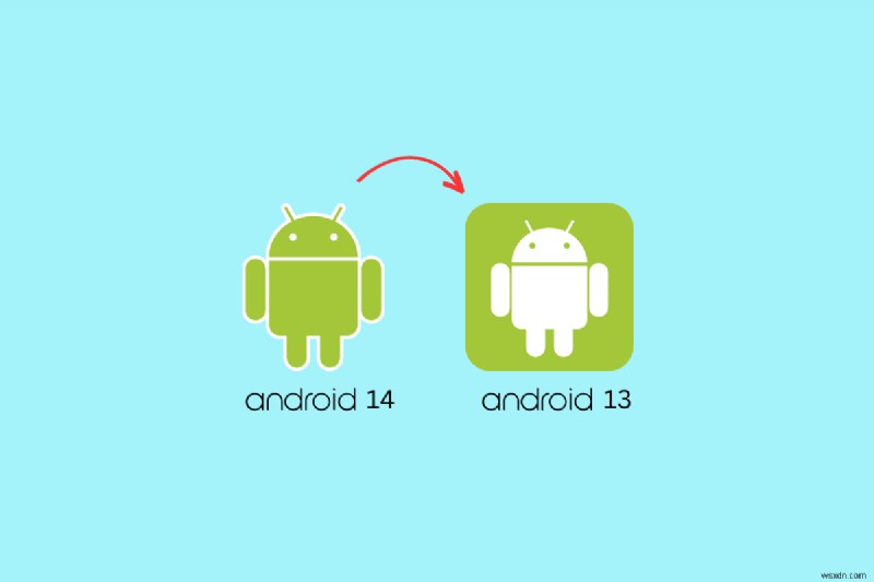 Hướng dẫn từng bước hạ cấp từ Android 14 xuống Android 13 một cách an toàn 