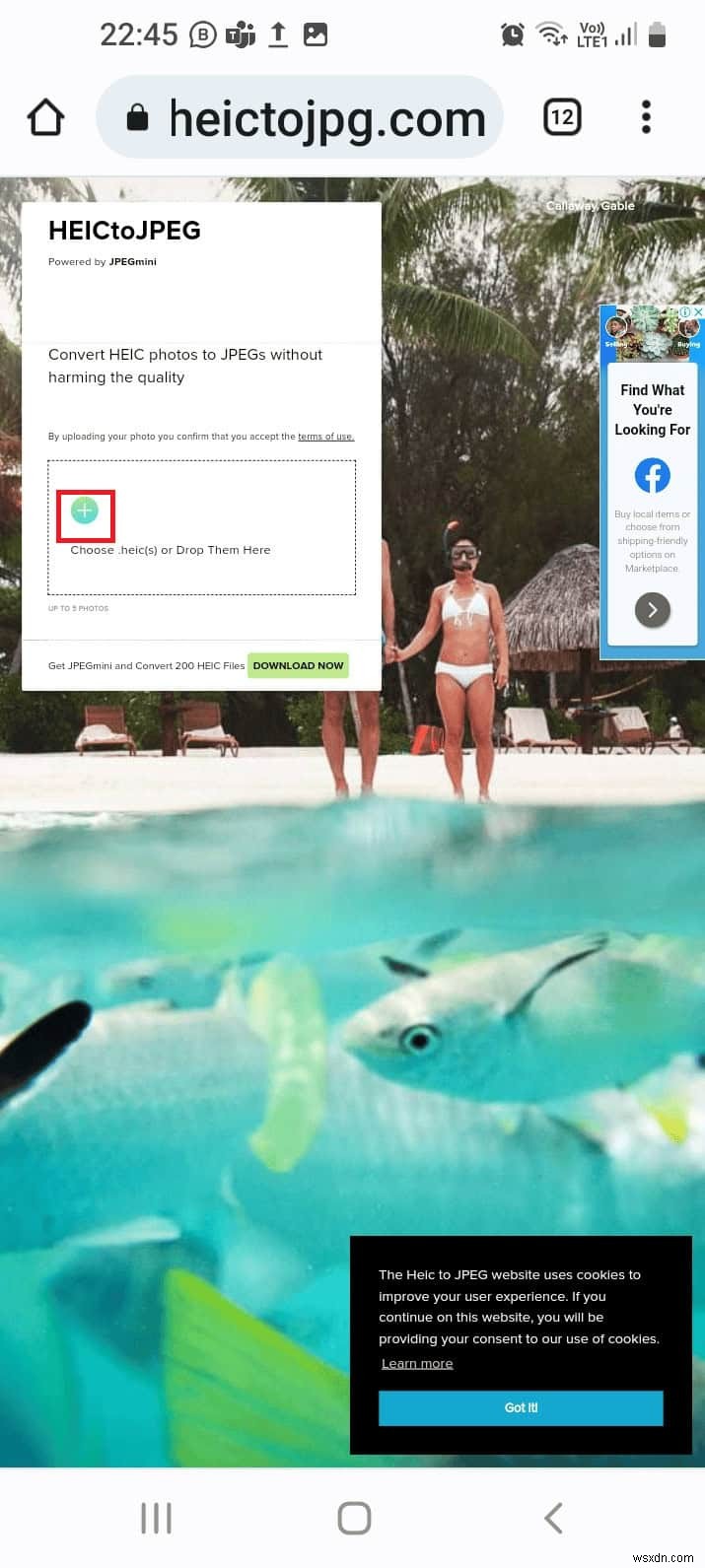 Chuyển đổi liền mạch ảnh HEIC sang JPG trên Android – Hướng dẫn nhanh chóng và dễ dàng 
