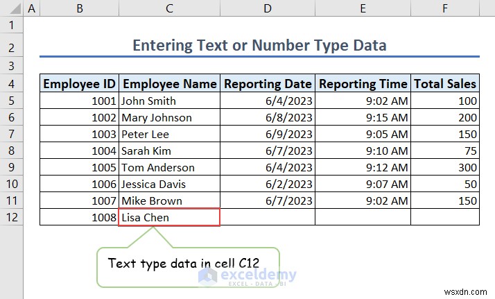 Nhập dữ liệu Excel thành thạo:Khái niệm cơ bản, biểu mẫu và xử lý lỗi 