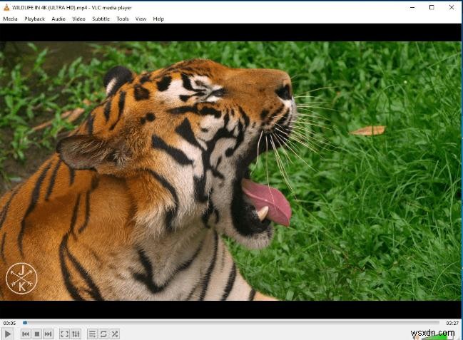 5 trình phát video hàng đầu cho Chromebook năm 2023 – Hỗ trợ phát trực tuyến, phụ đề và định dạng