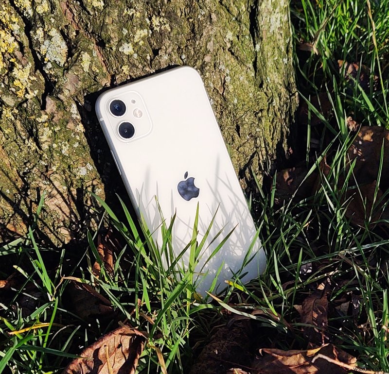 Đánh giá tuổi thọ của iPhone 11:5 năm hoạt động 
